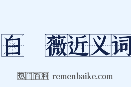 白薔薇近义词是什么意思的图片